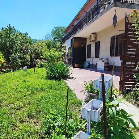 Cimbora, Salara * Koper