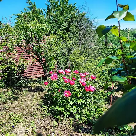 Apartmán Cimbora, Salara Koper