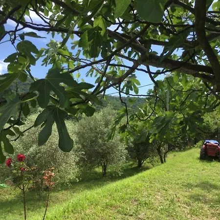 Apartmán Cimbora, Salara *