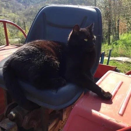 Apartmán Cimbora, Salara Koper