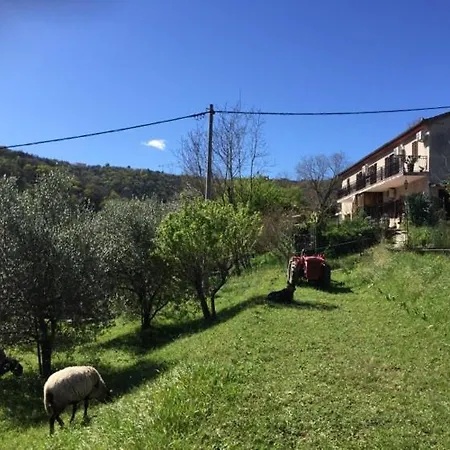 Apartmán Cimbora, Salara Koper
