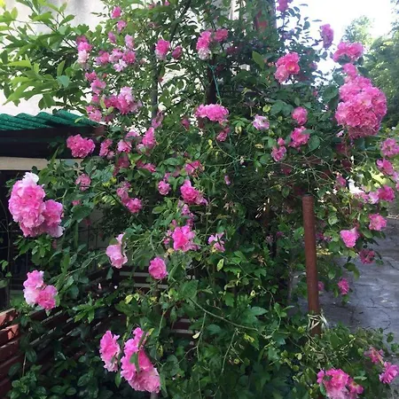 Cimbora, Salara アパート *