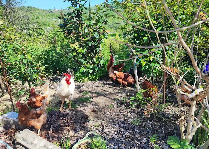 Διαμέρισμα Cimbora, Salara