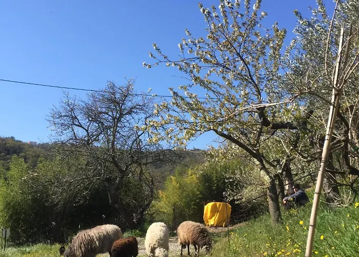 Διαμέρισμα Cimbora, Salara *