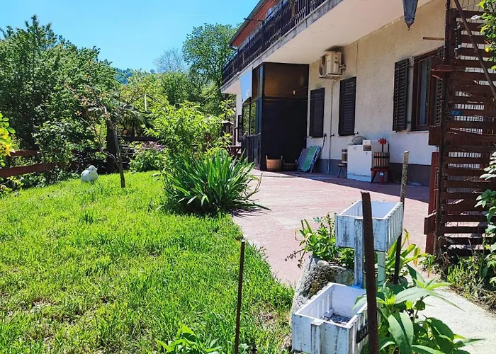 Cimbora, Salara * Κόπερ