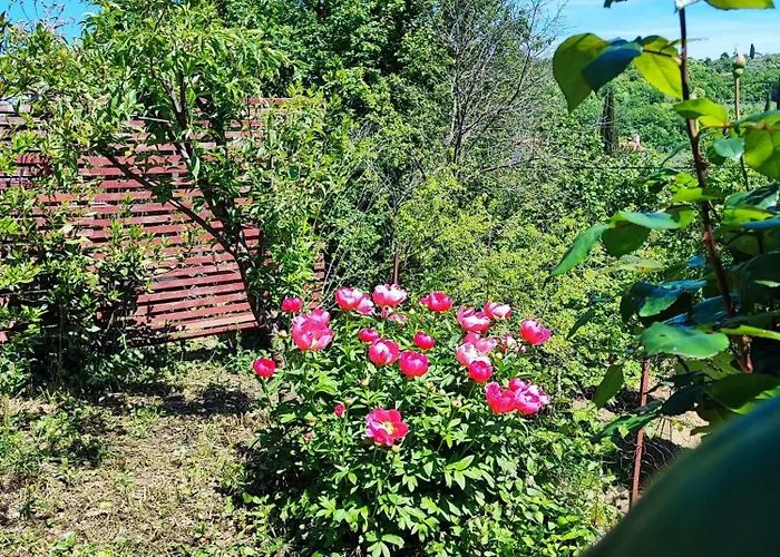 Lejlighed Cimbora, Salara Koper