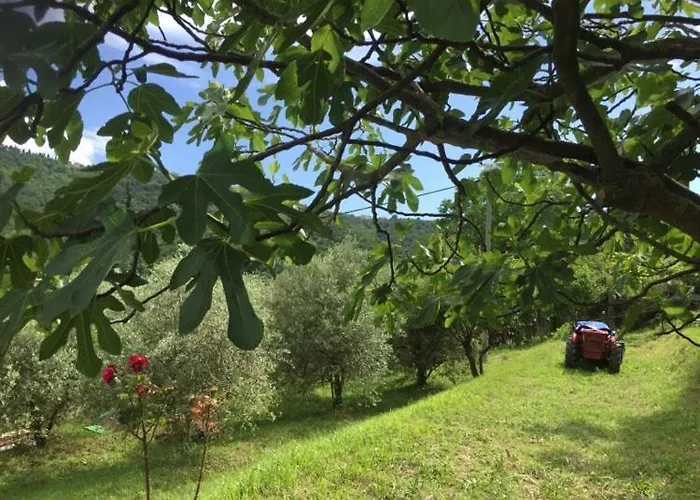 Lägenhet Cimbora, Salara *