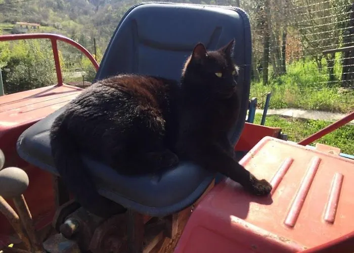 Διαμέρισμα Cimbora, Salara Κόπερ