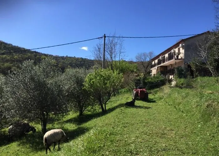 Διαμέρισμα Cimbora, Salara Κόπερ