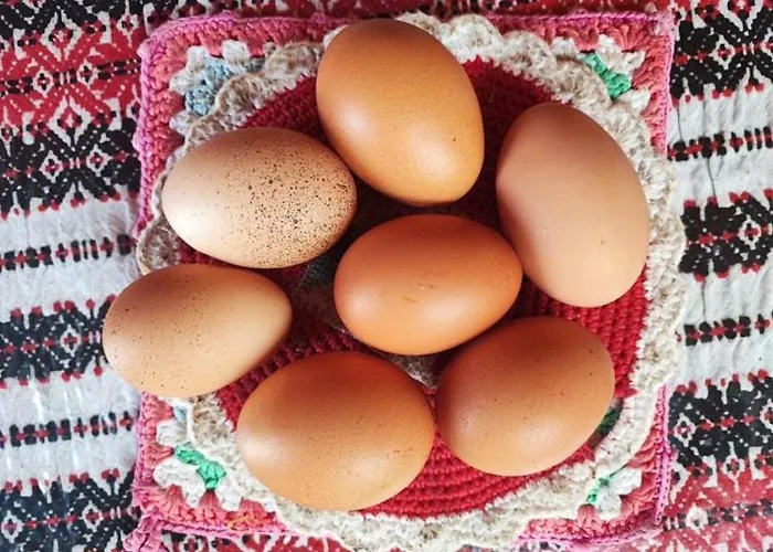 Cimbora, Salara Κόπερ