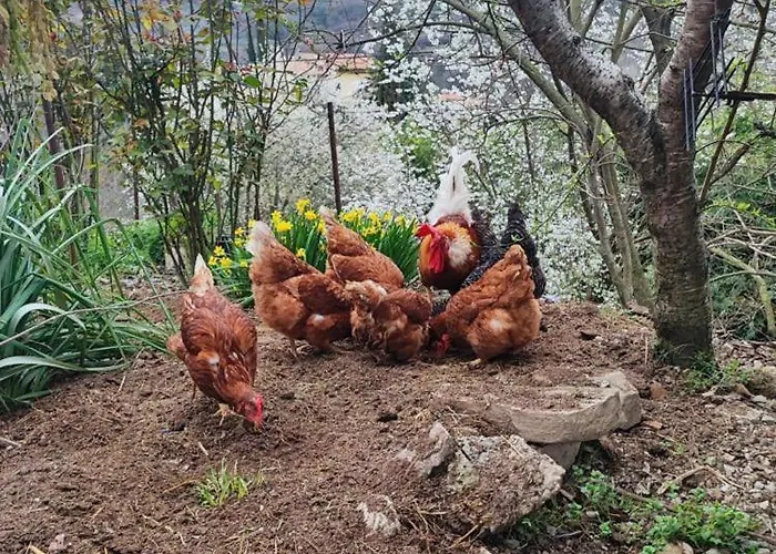 Διαμέρισμα Cimbora, Salara *