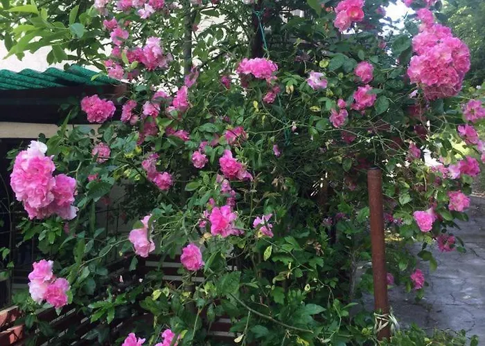 Cimbora, Salara Διαμέρισμα *