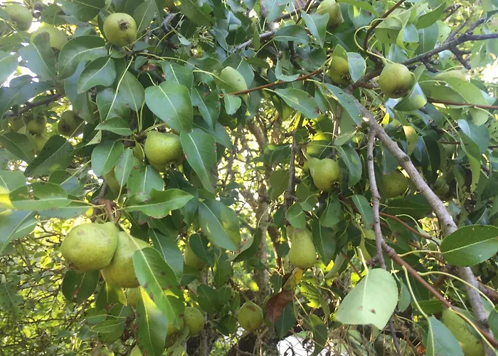 Lägenhet Cimbora, Salara *